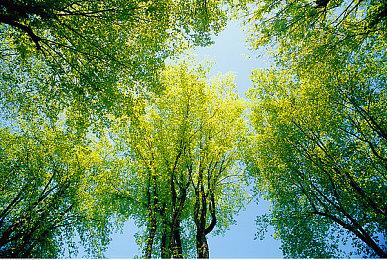 悬疑冒险游戏《九十六号公路》将登录PS和Xbox 4月14日发售